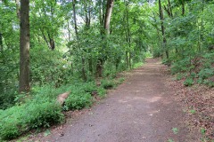 IMG_0051