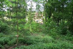 IMG_0052