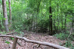 IMG_0054