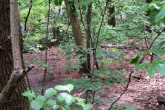 IMG_0060