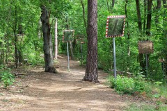 IMG_0066