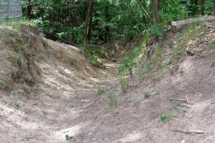 IMG_0070
