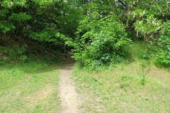 IMG_0074