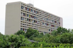 IMG_0080