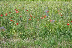 P7180010