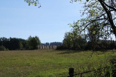 IMG_0004