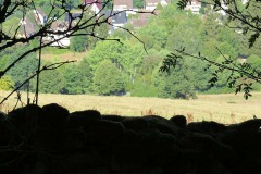 IMG_0010