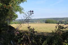 IMG_0012