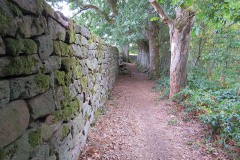 IMG_0045