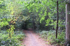 IMG_0047