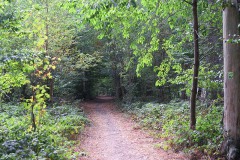 IMG_0048