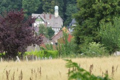 IMG_0015