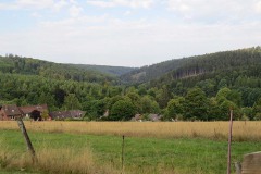 IMG_0020