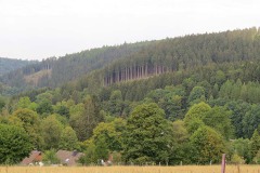 IMG_0021
