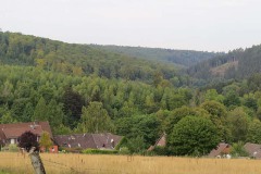 IMG_0022