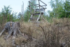 IMG_0040