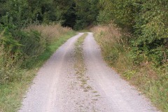IMG_0041