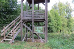 IMG_0045