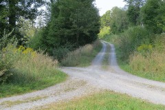 IMG_0047