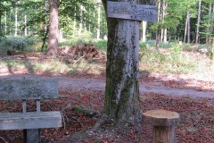 IMG_0049