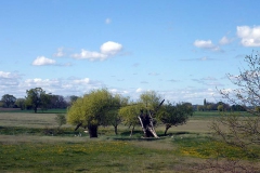 P1000108