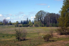 P1000109