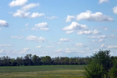 P1000112