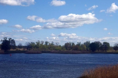 P1000123