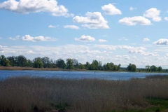 P1000126