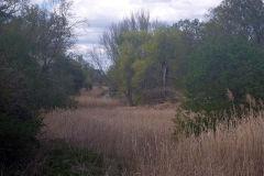 P1000137