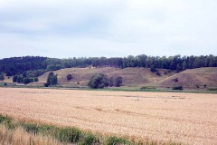 P7250018