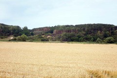 P7250019