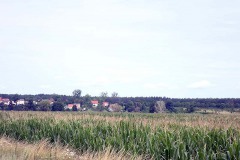 P7250021