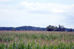 P7250022