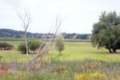 P7250023