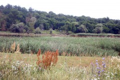 P7250026