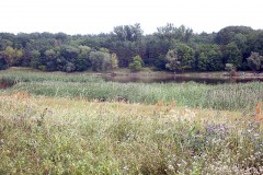 P7250027
