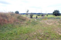 P7250029