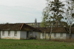 cimg0952