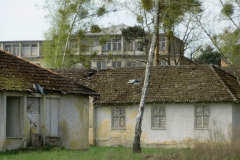 cimg0953