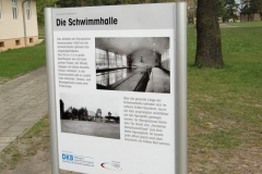 cimg0959