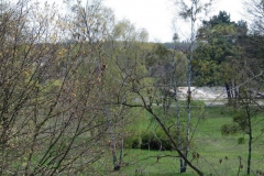 cimg0973 cimg0973