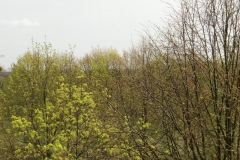 cimg0974 cimg0974