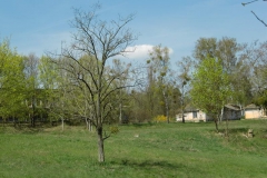 cimg0993 cimg0993