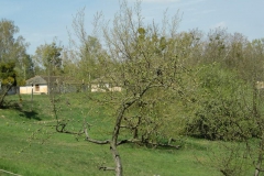 cimg0996