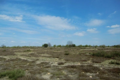 cimg1021
