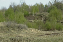 cimg1025