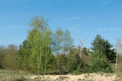 cimg1034