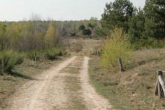 cimg1038