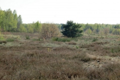 cimg1040